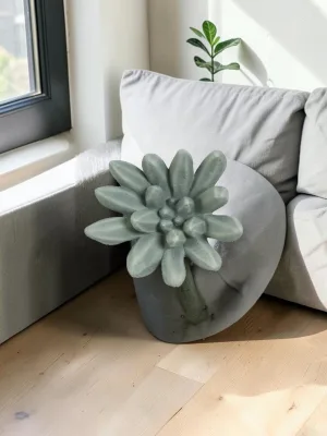 Liorventhys Compactum Succulent Wall Art, Forest Finish, 9x3x9 Inches