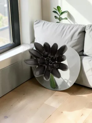 Liorventhys Compactum Succulent Wall Art, Matte Black Composite, 9x3x9 Inches
