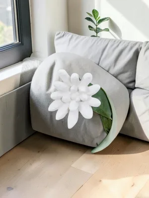 Liorventhys Compactum Succulent Wall Art, White Stone Finish, 9x3x9 Inches